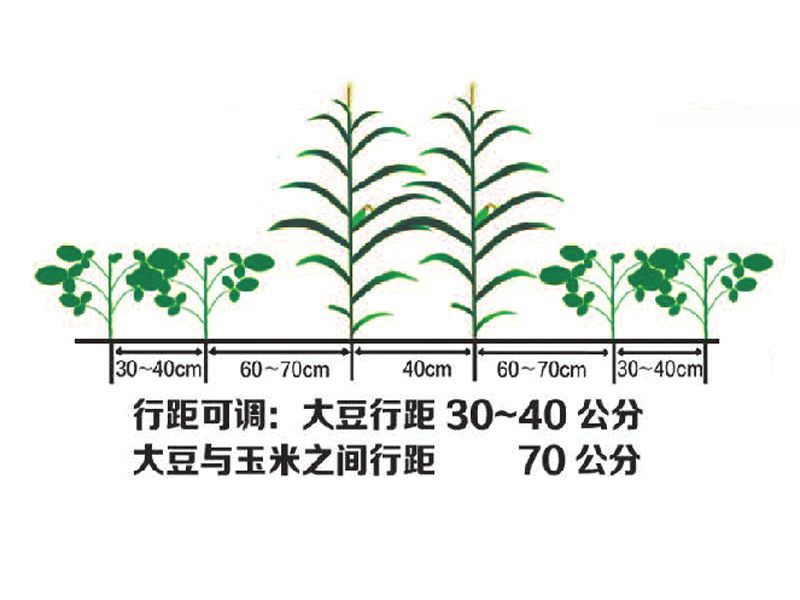 2BDYF-2-2-2型大豆玉米带状复合播种机